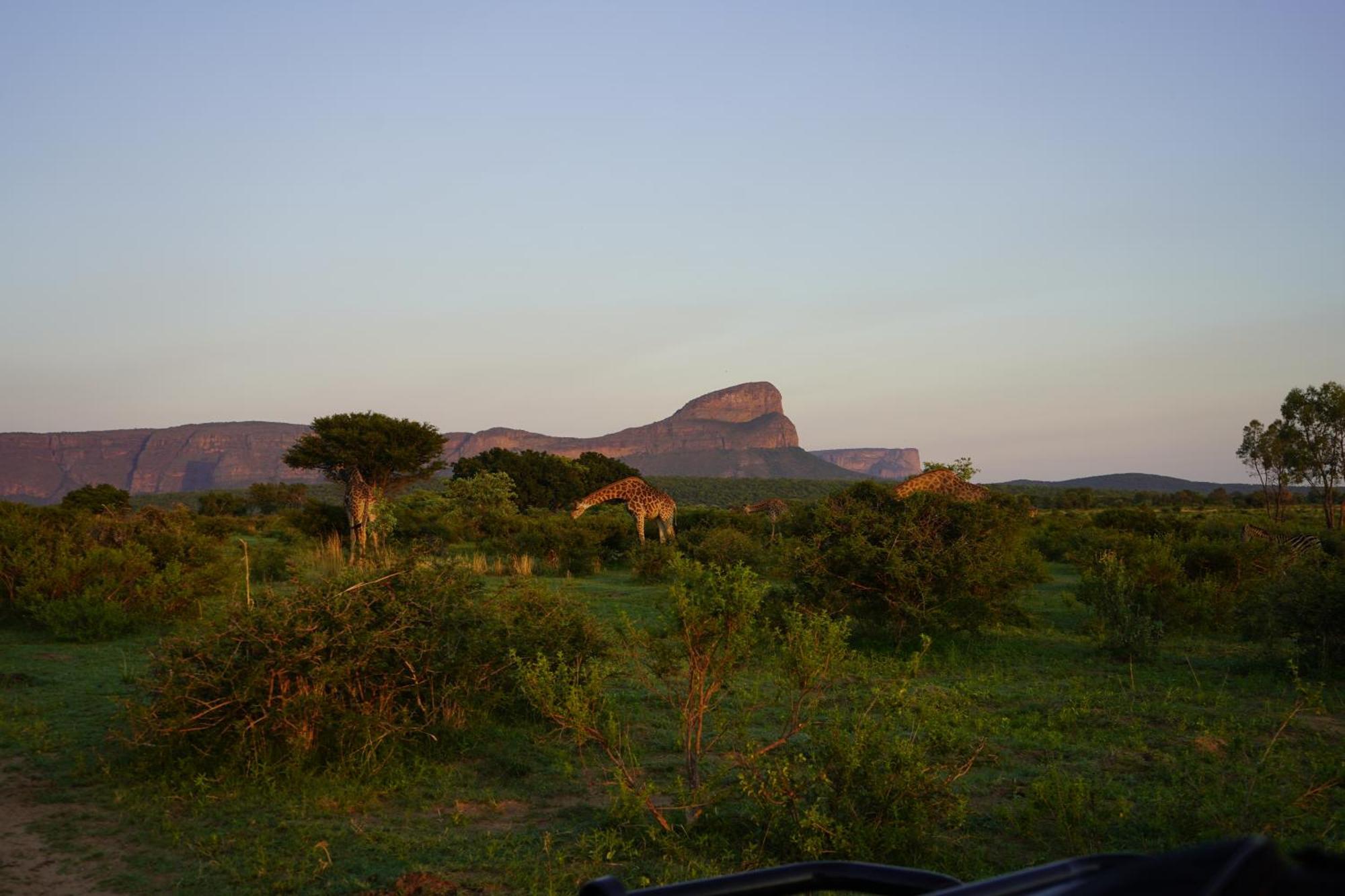 Hotel Honeyguide Ranger Camp Golders Green Esterno foto