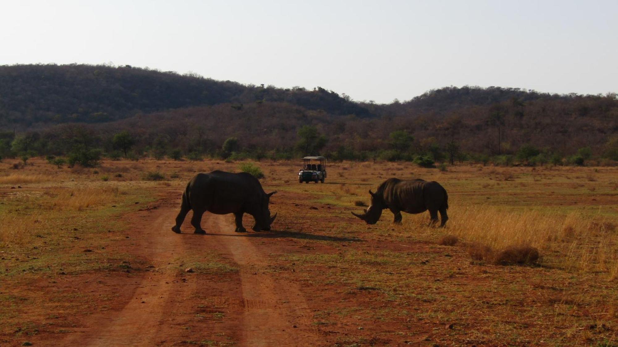 Hotel Honeyguide Ranger Camp Golders Green Esterno foto