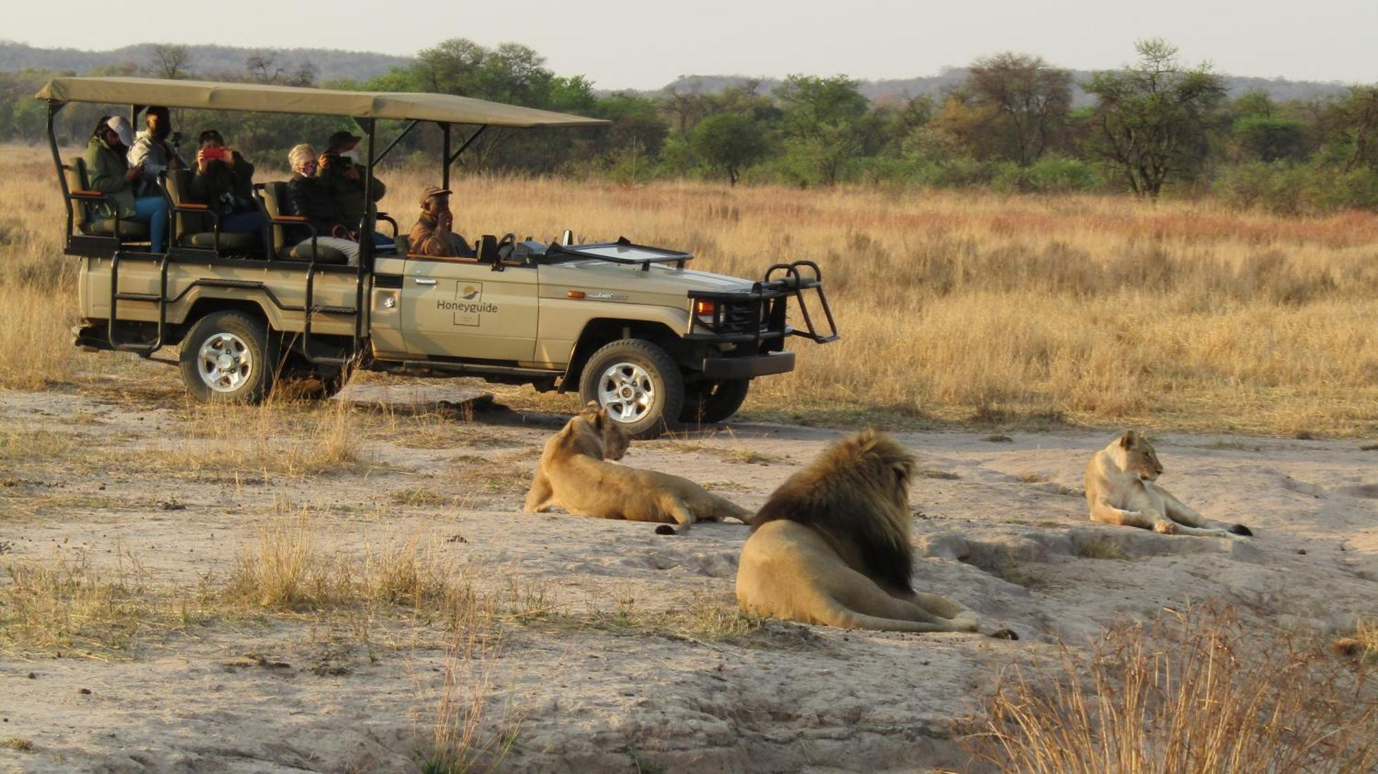 Hotel Honeyguide Ranger Camp Golders Green Esterno foto