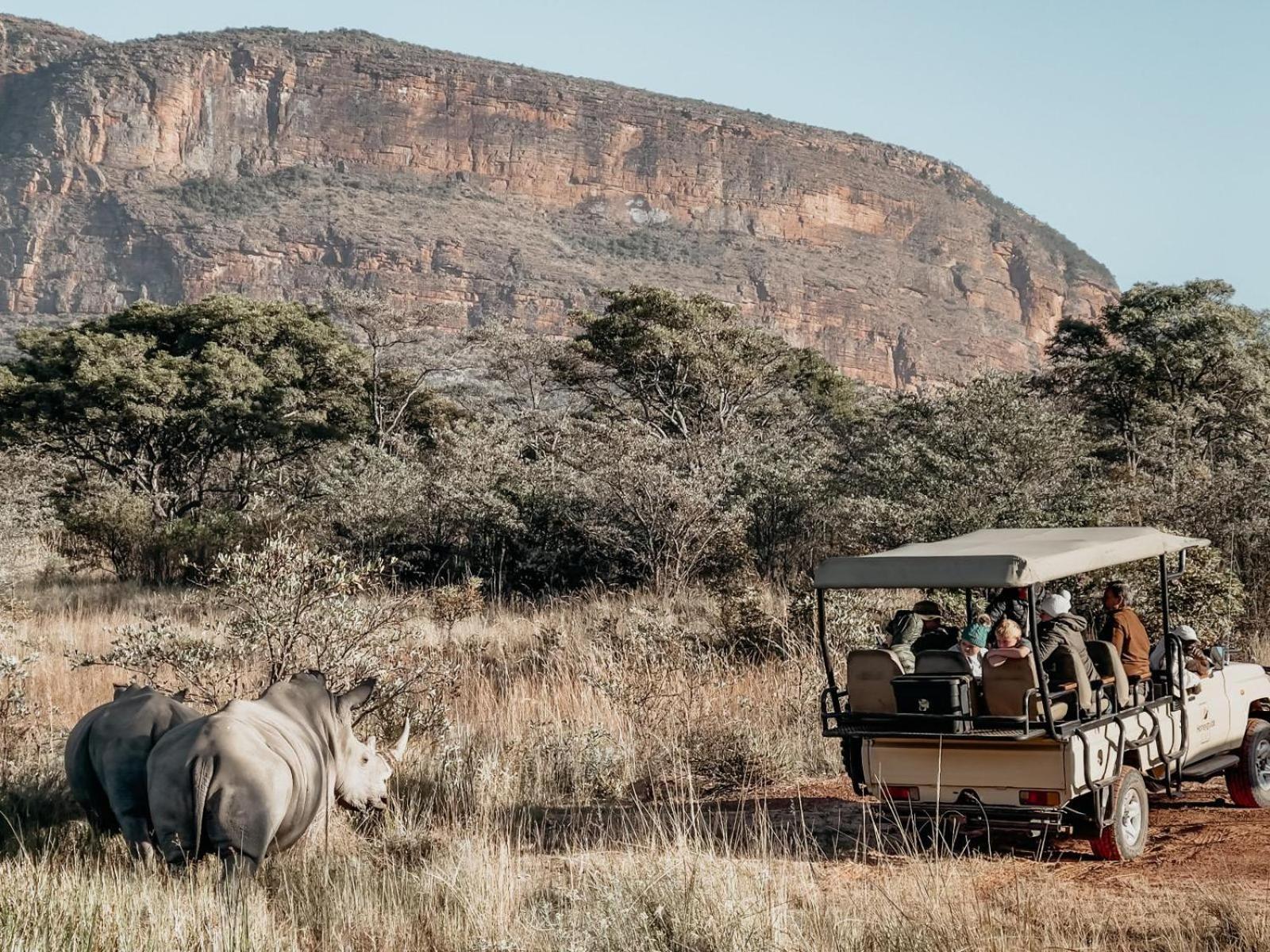 Hotel Honeyguide Ranger Camp Golders Green Esterno foto