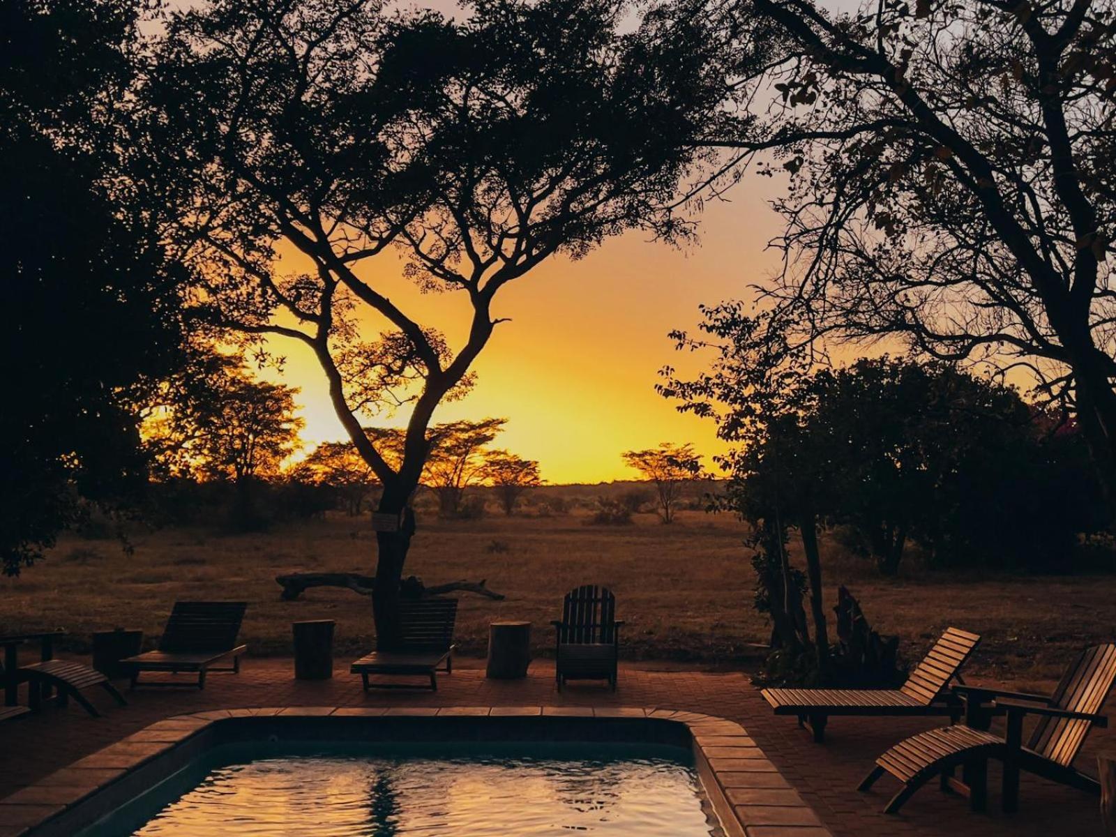 Hotel Honeyguide Ranger Camp Golders Green Esterno foto